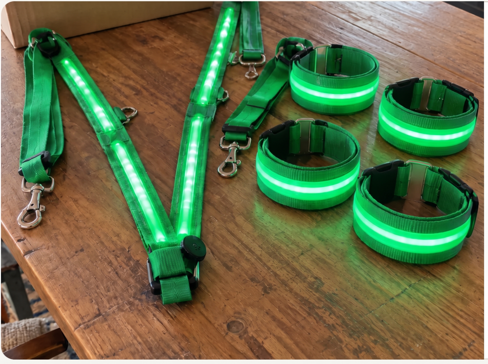 Glow Gallop tail light in blue